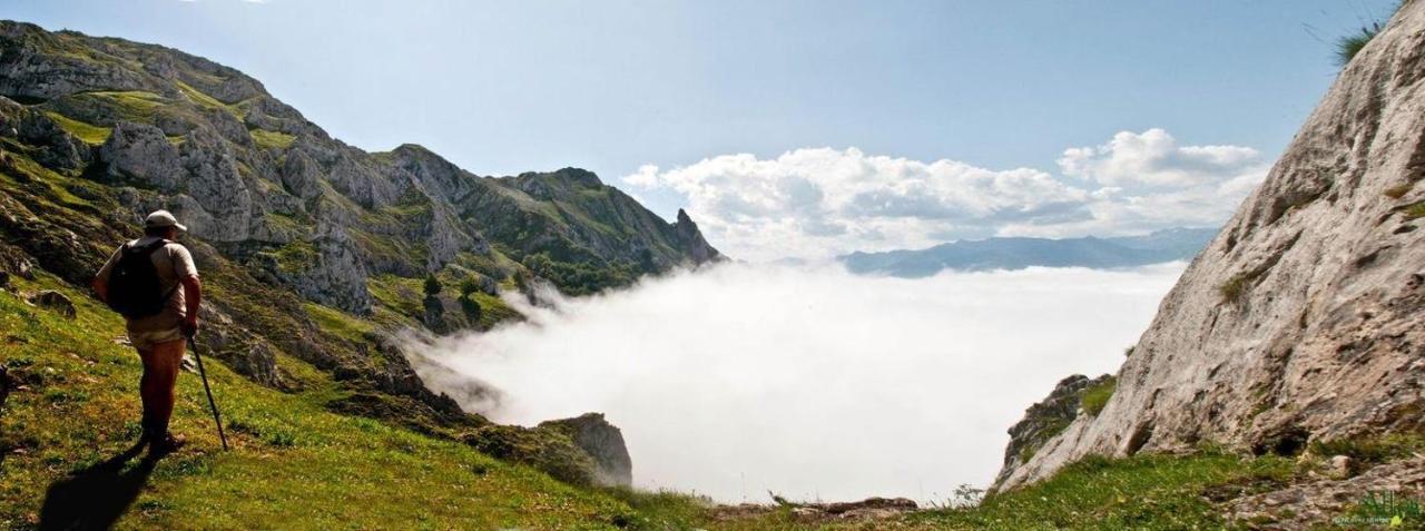Apto. De Montana La Campa En Фелечоса Экстерьер фото